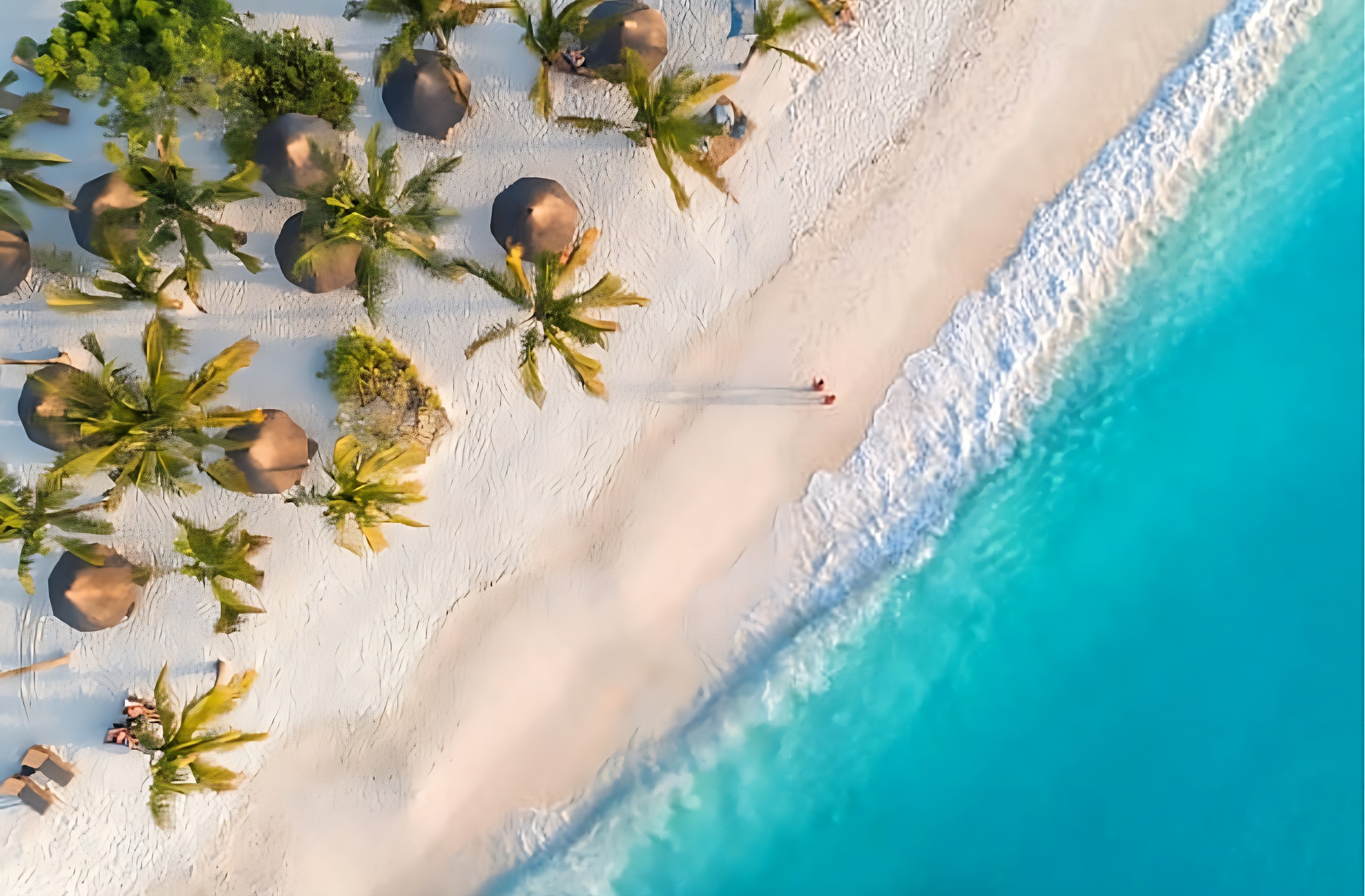 Zanzibar coastline at sunset